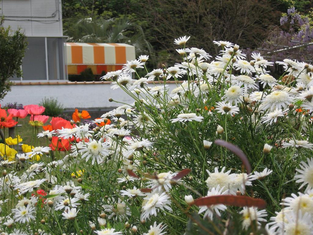 Hillside Inn Sirocco Tateyama  Bagian luar foto